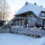 Schneebedecktes Haus mit grünem Dach und Fenstern, umgeben von Bäumen und Sträuchern.
