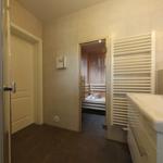 Badezimmer mit Dusche, Waschbecken und Sauna im Hintergrund.