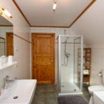 Badezimmer mit Dusche, Waschbecken und Toilette. Holztür und Fliesenwand.