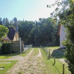 Ein Weg führt durch einen grünen Garten zwischen Häusern und Bäumen.