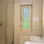 Badezimmer mit Dusche, Waschbecken und Fenster mit getöntem Glas.