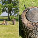 Außenbereich mit Grillplatz und Holzstumpf als Sitzgelegenheit. Feuer brennt im Grillbereich.