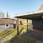 Hinterhof mit Holzüberdachung und kleinem Schuppen. Grasfläche und Bäume im Hintergrund.