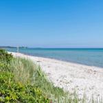 Weißer Sandstrand mit grüner Vegetation und blauem Meer unter klarem Himmel.