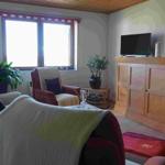 Wohnzimmer mit Sofa, Sessel, Fernseher und Pflanzen.