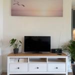 TV auf weißen Schrank mit Schubladen und Pflanzen. Wandbild mit Möwen.