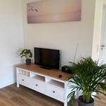 TV-Schrank mit Pflanzen und Wandbild