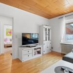 Wohnzimmer mit Holzdecke, Fernseher und Blick in Schlafzimmer.