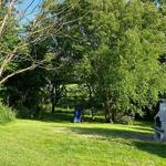 Grüner Garten mit Grill und Bäumen. Spielplatz im Hintergrund.
