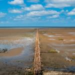 Mudflat mit Holzpfahlreihe und Windkraftanlagen am Horizont.