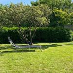 Garten mit Liegestuhl, Baum und Grill. Grasfläche und Hecke im Hintergrund.