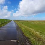 Gerader Weg durch grüne Felder unter blauem Himmel mit weißen Wolken.