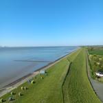 Grüner Deich mit Strandkörben und Blick auf die Nordsee unter blauem Himmel.
