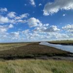 Fluss durch Grasland unter blauem Himmel mit weißen Wolken.