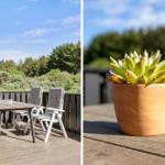 Terrasse mit Tisch, Stühlen und Pflanze. Hintergrund: Wald und blauer Himmel.