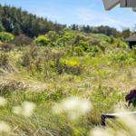 Vor dem Haus: Grasland mit Blumen und Wald im Hintergrund.