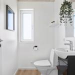 Bathroom with toilet, sink, and window. Hanging plant and mirror.