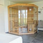 Sauna mit Glasfront und Sitzbänken, Dusche und Whirlpool im Raum.