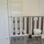 Badezimmer mit Dusche, Toilette und Heizkörper an gestreifter Wand.