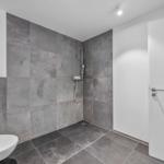 Dusche mit Duschbrause, Toilette und Pflanze an der Wand