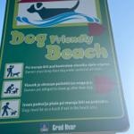 Hundestrand 8 Minuten zu Fuss entfernt vom Haus.