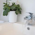 Waschbecken mit Wasserhahn und Pflanze in weißer Vase