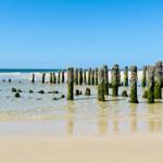 Strand mit alten Pfählen im flachen Wasser unter blauem Himmel