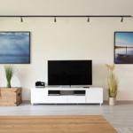 Wohnzimmer mit Fernseher, zwei Bildern und Pflanzen auf dem Boden.