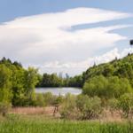 Ein Storch sitzt auf einem Nest an einem Pfosten. Im Hintergrund ist ein See und Wald zu sehen.