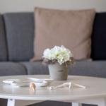 Runder Tisch mit Seesternen und Blumen vor einem Sofa mit Kissen.