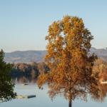 Ein See mit Bootsanlegern und Bäumen im Herbstlicht.