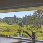 Küchenfenster mit Blick auf grüne Wiesen und Bäume