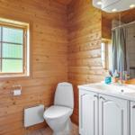 Badezimmer mit Holzwand, Toilette, Waschbecken und Spiegel