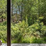 Von der Terrasse blickt man auf einen dichten Wald mit Bäumen und Sträuchern.