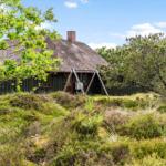 Holzhütte mit Strohdach und Schaukel im Grasland