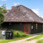 Haus mit strohgedecktem Dach, roter Tür und Umgebung mit Gras und Bäumen.