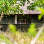 Haus mit Strohdach und Holzfassade, umgeben von Bäumen und Gras.