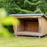Holzüberdachung im Garten mit Blick in den Wald.