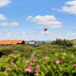 Zwei Paraglider fliegen über Häuser und grüne Hügel mit rosa Blumen im Vordergrund.