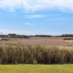 Weitläufiges Feld unter blauem Himmel mit Bäumen und Häusern im Hintergrund.