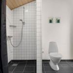 Bad mit Dusche, Toilette und schwarzem Bodenfliesen.