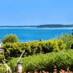 Wide view of blue water with an island in the background and green vegetation in the foreground.