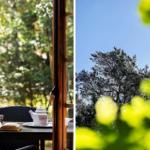 Tisch mit Teekanne und Buch vor Fenster. Blick auf Bäume und Himmel.