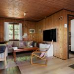 Wohnzimmer mit Holzwand, Sofa, Fernseher und Kaminofen. Durchgang zu Schlafzimmer.