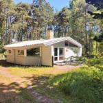 Wohnhaus im Wald mit Terrasse und Fenstern