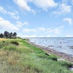 Beach with grassland and trees under blue sky with white clouds.