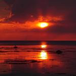 Sunset over the sea with rocks and a bird in the foreground.