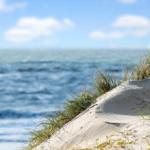 Sandhügel mit Gras am Strand, Meer im Hintergrund.