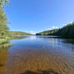 Klarer See mit Wald am Ufer unter blauem Himmel