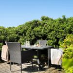 Terrasse mit Tisch und Stühlen, umgeben von grünen Sträuchern und rosa Blüten.